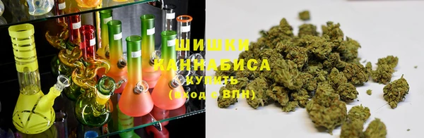 сатива Богородицк