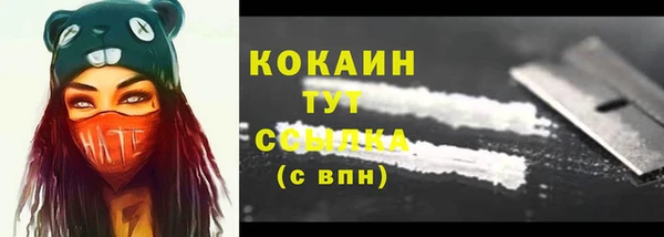 сатива Богородицк