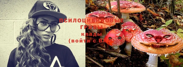mdma Богданович